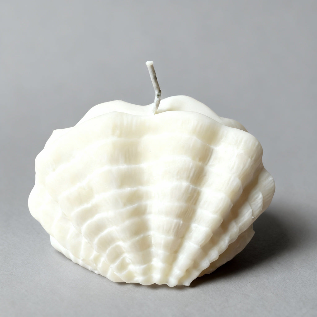 Sculpted Shell Soya Wax Candle